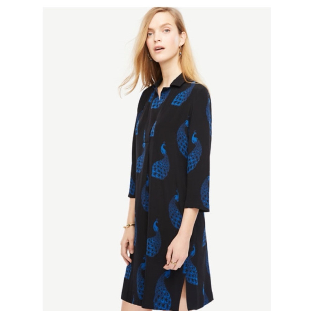 Ann Taylor peacock shift dress XS